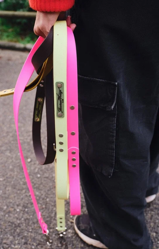 AMV DOGS dog leash Reference: LAISSECHIENH26