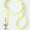 AMV DOGS dog leash Reference: LAISSECHIENH26