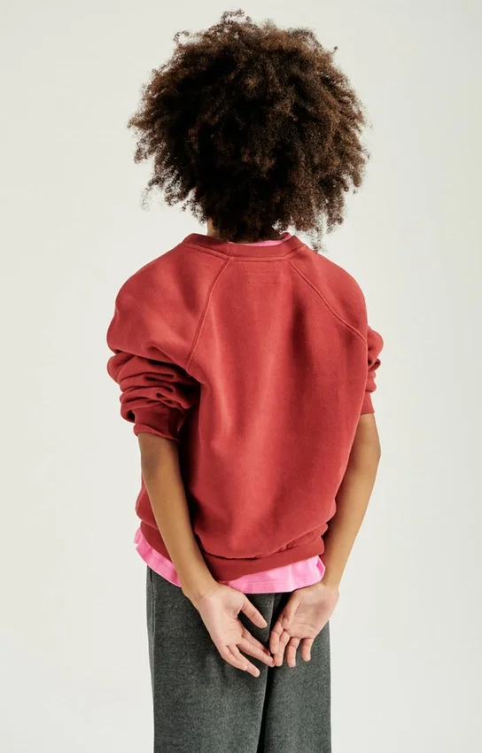 Kids' sweatshirt Izubird Reference: KIZU03BH26